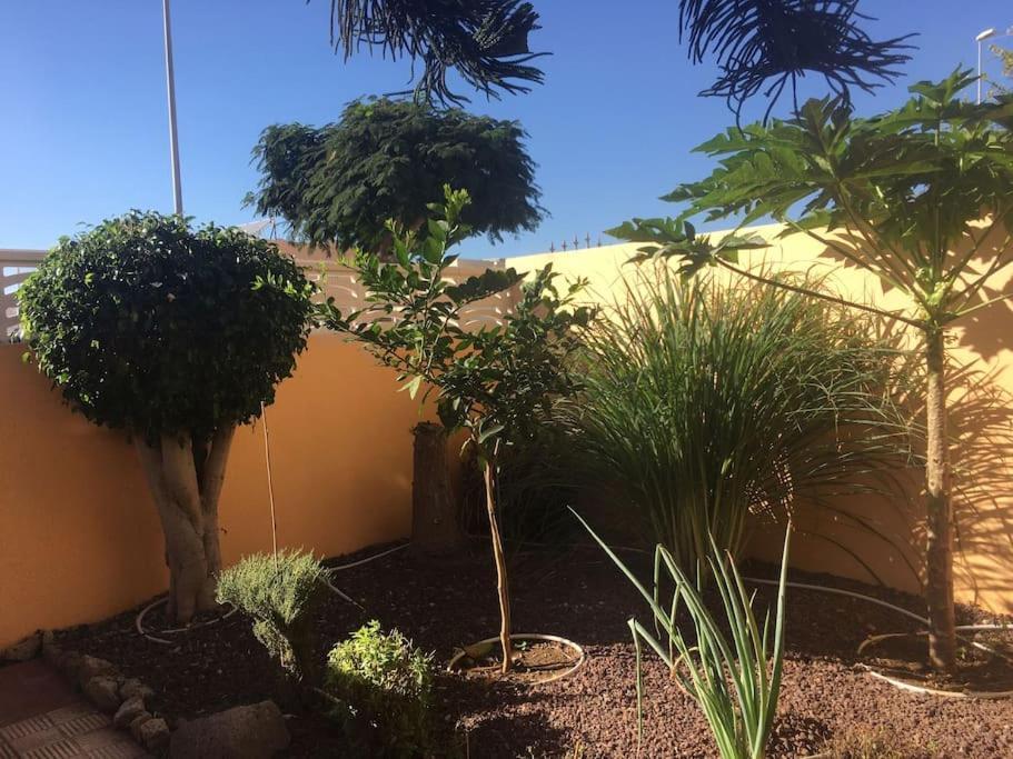 Independiente Estudio En Acogedora Casita De Mai Costa Adeje (Tenerife) Exterior foto