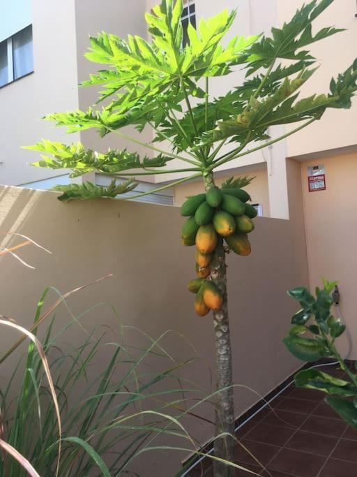Independiente Estudio En Acogedora Casita De Mai Costa Adeje (Tenerife) Exterior foto